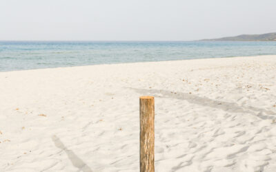 De kracht van stilstaan in de zomer (en waarom dit jouw leven verandert)