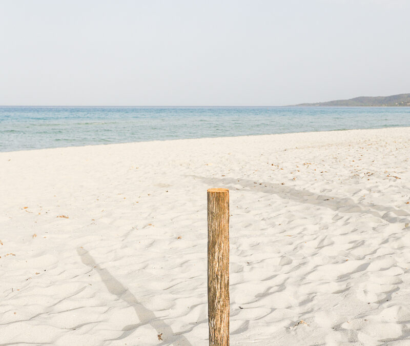 horizon-stilstaan in de zomer