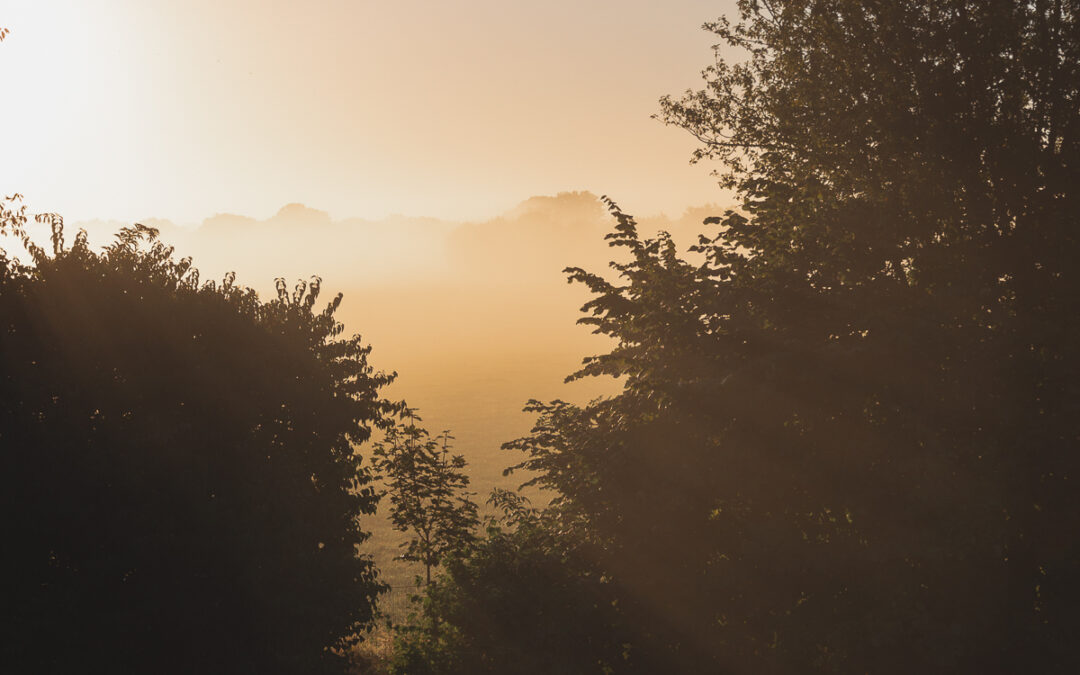 zonsopkomst-salland-ellenmetz